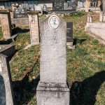 Споменик Лазару Н. Томићу на Томића гробљу у Здравчићима (фото Бојан Радојичић)