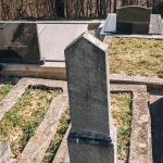Споменик Лазару Н. Томићу на Томића гробљу у Здравчићима (фото Бојан Радојичић)