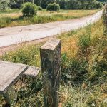Крајпуташ Богићу Думанићу у Белој Реци (фото Бојан Радојичић)