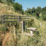 Крајпуташ Богићу Думанићу у Белој Реци (фото Бојан Радојичић)
