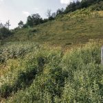 Крајпуташ Драгомиру и Ивку Луковићима у Белој Реци (фото Бојан Радојичић)