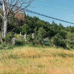 Милојевића гробље у Белој Реци (фото Бојан Радојичић)