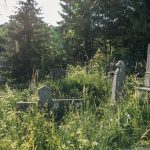 Милојевића гробље у Белој Реци (фото Бојан Радојичић)
