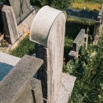 Споменик Светиславу Милојевићу на Милојевића гробљу у Белој Реци (фото Бојан Радојичић)