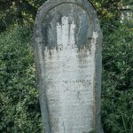 Споменик Владимиру и Јеротију Милојевићима на Милојевића гробљу у Белој Реци (фото Бојан Радојичић)
