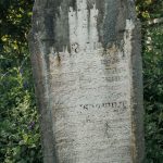 Споменик Владимиру и Јеротију Милојевићима на Милојевића гробљу у Белој Реци (фото Бојан Радојичић)