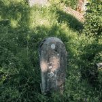 Споменик Владимиру и Јеротију Милојевићима на Милојевића гробљу у Белој Реци (фото Бојан Радојичић)