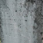 Споменик Стеву Спасојевићу на гробљу на Стражи у Белој Реци (фото Бојан Радојичић)