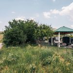 Гробље Вршевина у Буковику, Божетићи (фото Бојан Радојичић)