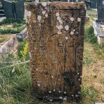 Споменик Владисаву и Драгиши Маринковићима на гробљу Вршевина у Буковику, Божетићи (фото Бојан Радојичић)