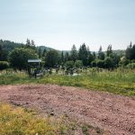Гробље у Горњем Трудову, Божетићи (фото Бојан Радојичић)