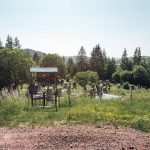 Гробље у Горњем Трудову, Божетићи (фото Бојан Радојичић)