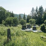 Гробље у Горњем Трудову, Божетићи (фото Бојан Радојичић)