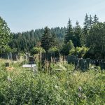 Гробље у Горњем Трудову, Божетићи (фото Бојан Радојичић)