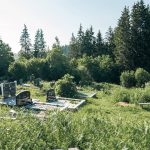 Гробље у Горњем Трудову, Божетићи (фото Бојан Радојичић)