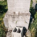 Споменик Јевгенију Џекулићу на гробљу у Горњем Трудову, Божетићи (фото Бојан Радојичић)