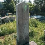 Споменик Јевгенију Џекулићу на гробљу у Горњем Трудову, Божетићи (фото Бојан Радојичић)