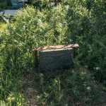 Споменик Милији Варкашевићу на гробљу у Горњем Трудову, Божетићи (фото Бојан Радојичић)