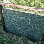 Споменик Милији Варкашевићу на гробљу у Горњем Трудову, Божетићи (фото Бојан Радојичић)