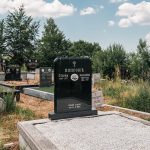 Споменик Максиму Поповићу на Поповића гробљу у Божетићима (фото Бојан Радојичић)