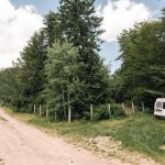 Гробље на Главици у Тисовици, Божетићи (фото Бојан Радојичић)