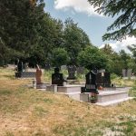 Гробље на Главици у Тисовици, Божетићи (фото Бојан Радојичић)