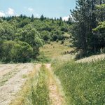 Крајпуташ Тодору Поповићу у Божетићима чагову (фото Бојан Радојичић)