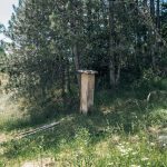 Крајпуташ Тодору Поповићу у Божетићима чагову (фото Бојан Радојичић)