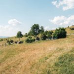 Гробље у Зарићима, Божетићи (фото Бојан Радојичић)