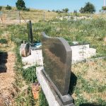 Споменик Влајку Палићу на гробљу у Зарићима, Божетићи (фото Бојан Радојичић)