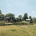 Зорића гробље у Божетићима (фото Бојан Радојичић)