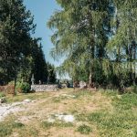 Гробље у Сеништима, Драглица (фото Бојан Радојичић)