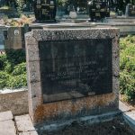 Гробље у Сеништима, Драглица (фото Бојан Радојичић)
