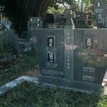 Гробље у Сеништима, Драглица (фото Бојан Радојичић)