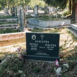 Гробље у Сеништима, Драглица (фото Бојан Радојичић)