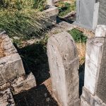 Споменик Милошу Селаковићу на гробљу у Сеништима, Драглица (фото Бојан Радојичић)