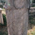 Споменик Сретену Селаковићу на гробљу у Сеништима, Драглица (фото Бојан Радојичић)