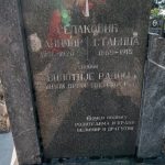 Споменик Вилотију и Радошу Селаковићима на гробљу у Сеништима, Драглица (фото Бојан Радојичић)
