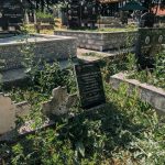 Споменик Радосаву Селаковићу на гробљу у Сеништима, Драглица (фото Бојан Радојичић)