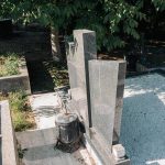 Споменик Стевану Селаковићу на гробљу у Сеништима, Драглица (фото Бојан Радојичић)