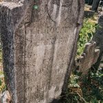 Споменик Милосаву Мрвићу на гробљу у Сеништима, Драглица (фото Бојан Радојичић)