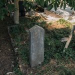 Споменик Милораду Селаковићу на гробљу у Сеништима, Драглица (фото Бојан Радојичић)