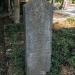 Споменик Милораду Селаковићу на гробљу у Сеништима, Драглица (фото Бојан Радојичић)