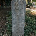 Споменик Милораду Селаковићу на гробљу у Сеништима, Драглица (фото Бојан Радојичић)