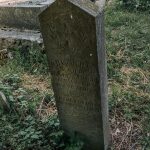 Споменик Милораду Селаковићу на гробљу у Сеништима, Драглица (фото Бојан Радојичић)