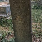 Споменик Милораду Селаковићу на гробљу у Сеништима, Драглица (фото Бојан Радојичић)