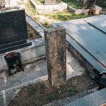 Споменик Јовану Мутавџићу на гробљу у Сеништима, Драглица (фото Бојан Радојичић)