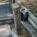 Споменик Јовану Мутавџићу на гробљу у Сеништима, Драглица (фото Бојан Радојичић)