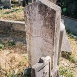 Споменик Драгиши Минићу на гробљу у Сеништима, Драглица (фото Бојан Радојичић)