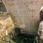 Споменик Драгиши Минићу на гробљу у Сеништима, Драглица (фото Бојан Радојичић)